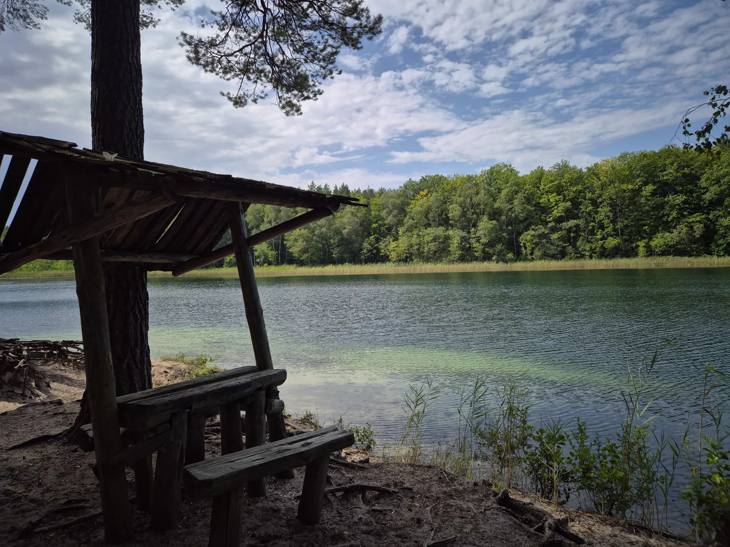 Jezioro Piaski, widok na wodę