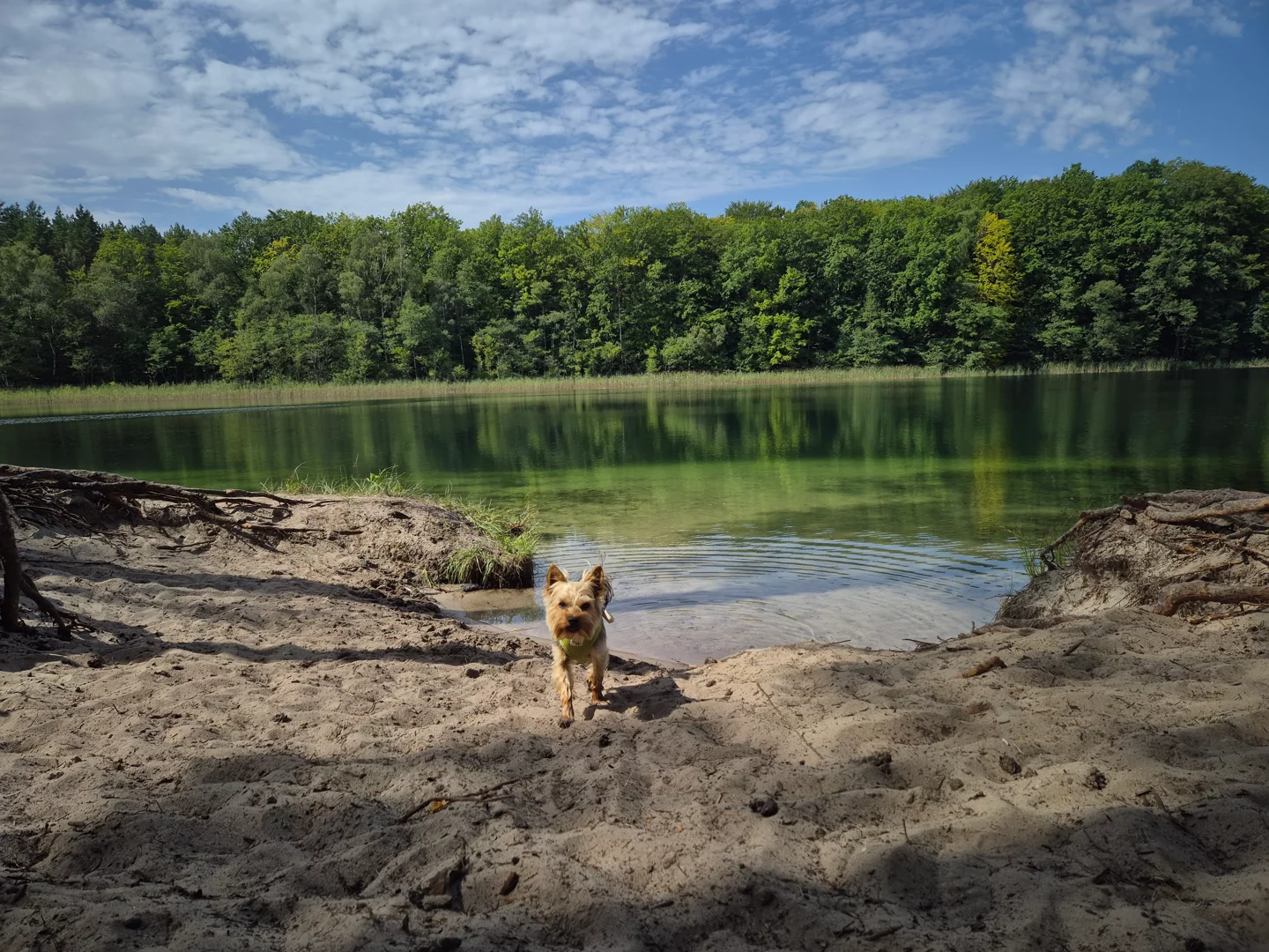 Jezioro Piaski, plaża